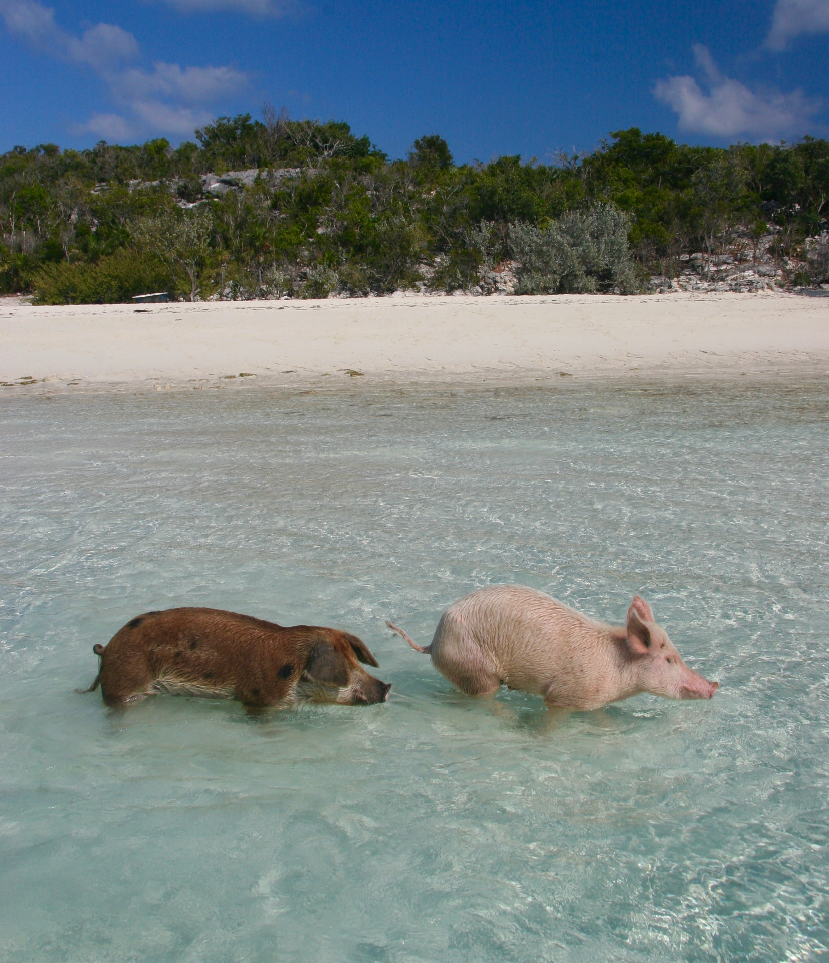 Exuma Cays, Bahamas